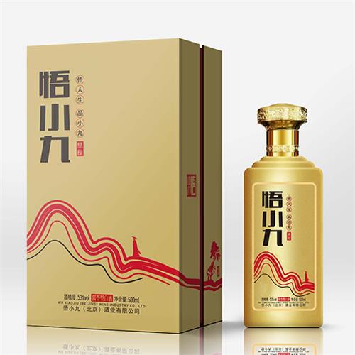 悟小九-里程款