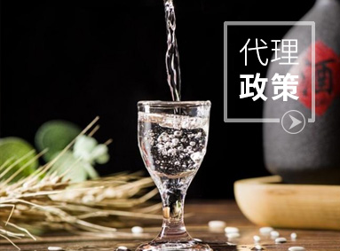 代理政策